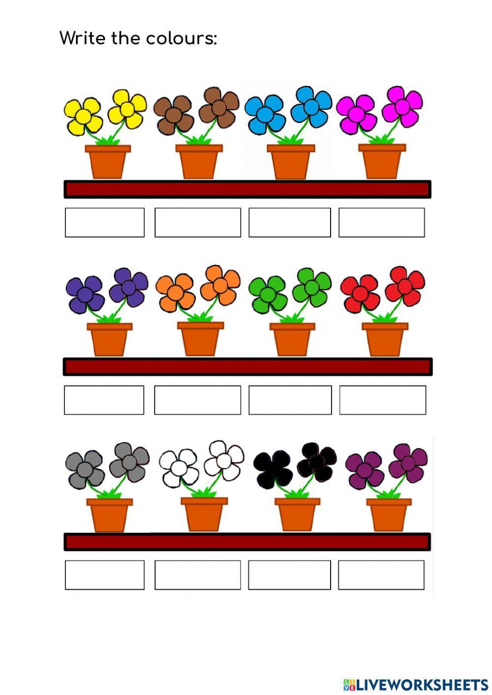 Colours - flowers