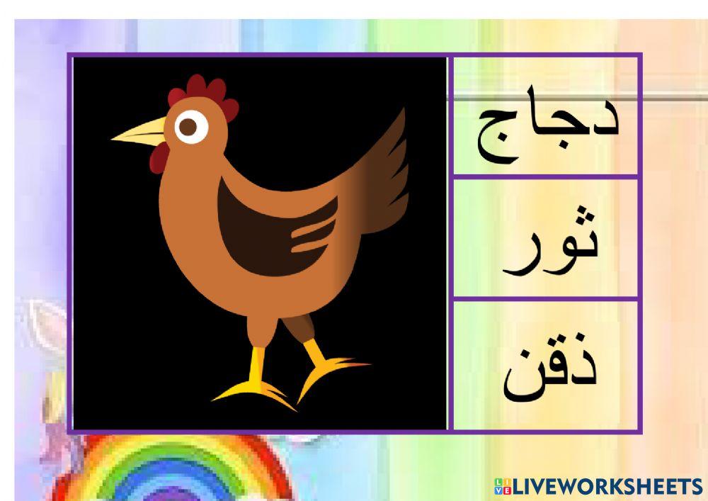 Latihan bahasa arab