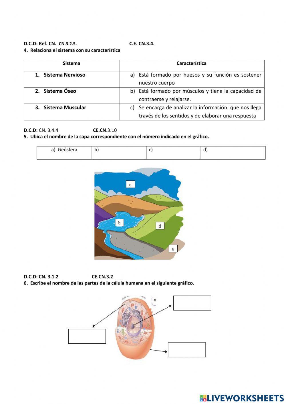 Tarea diagnóstica