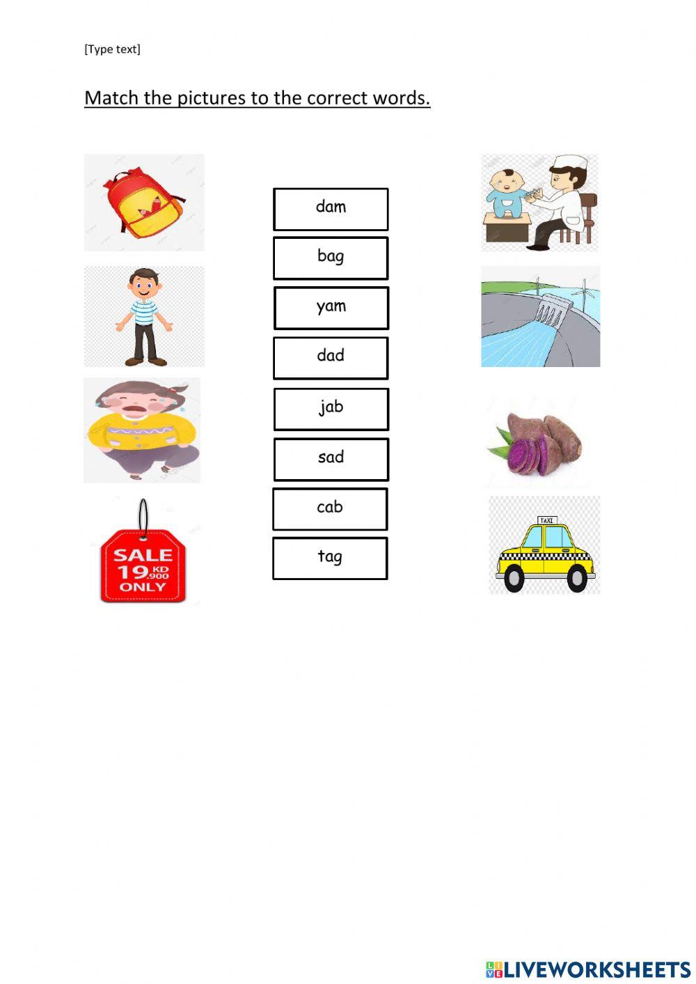 Match pictures with correct words