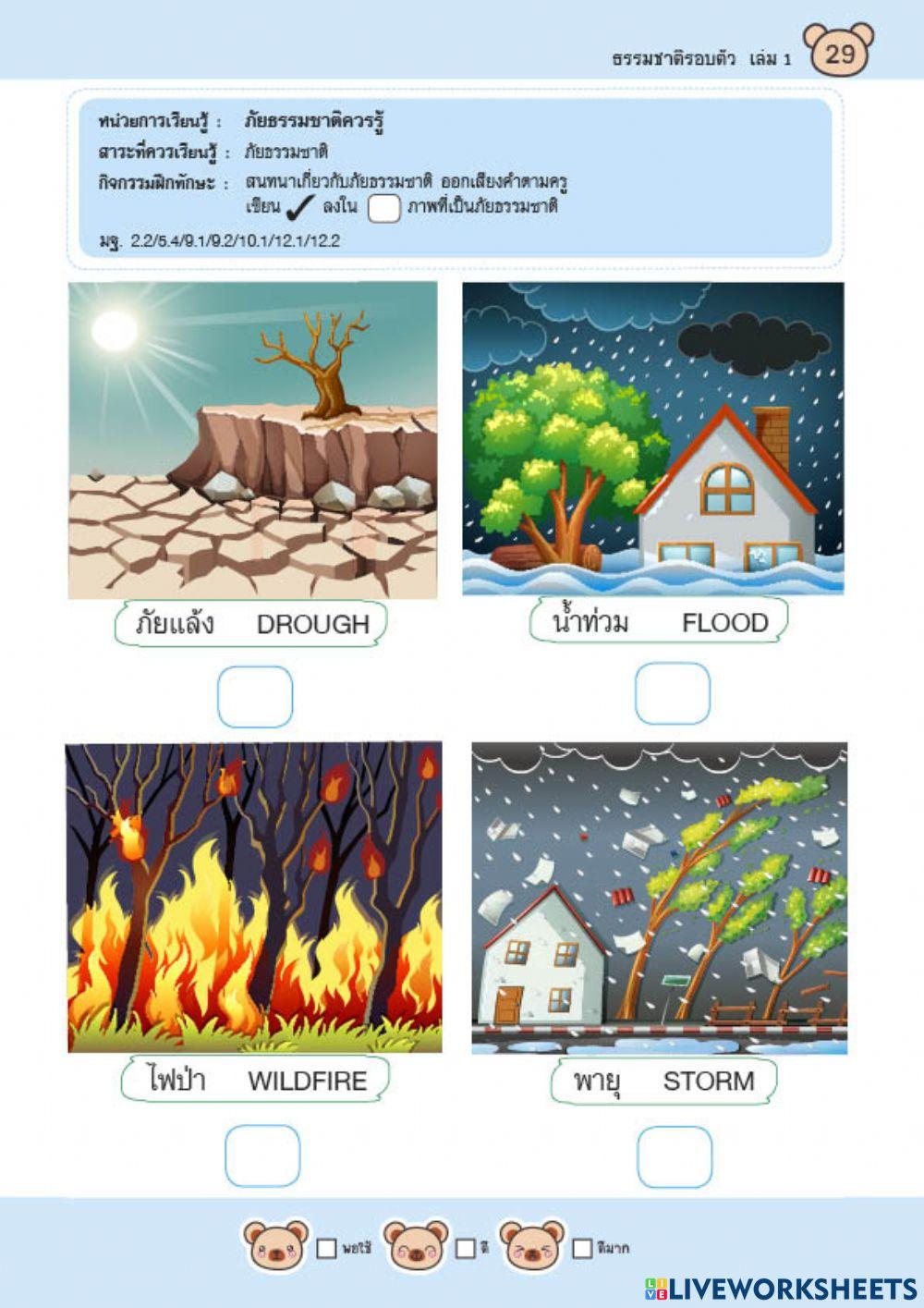 เลือกภาพที่เป็นภัยธรรมชาติ