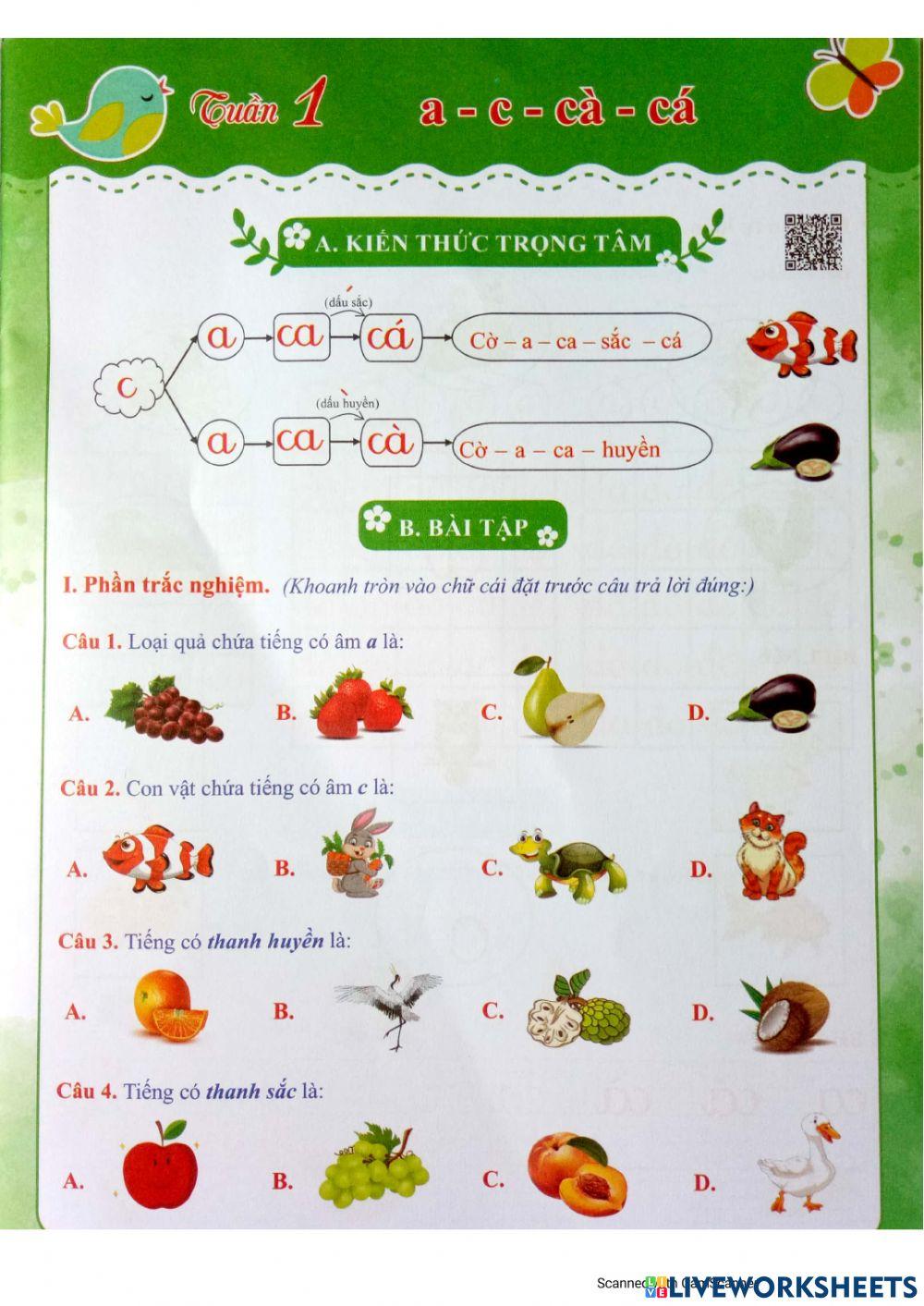 Bài tập Tiếng Việt Tuần 1