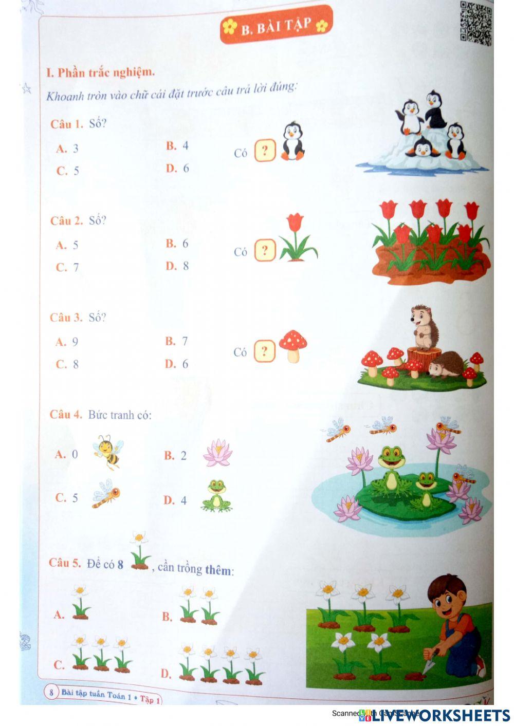 Bài tập Toán Tuần 2