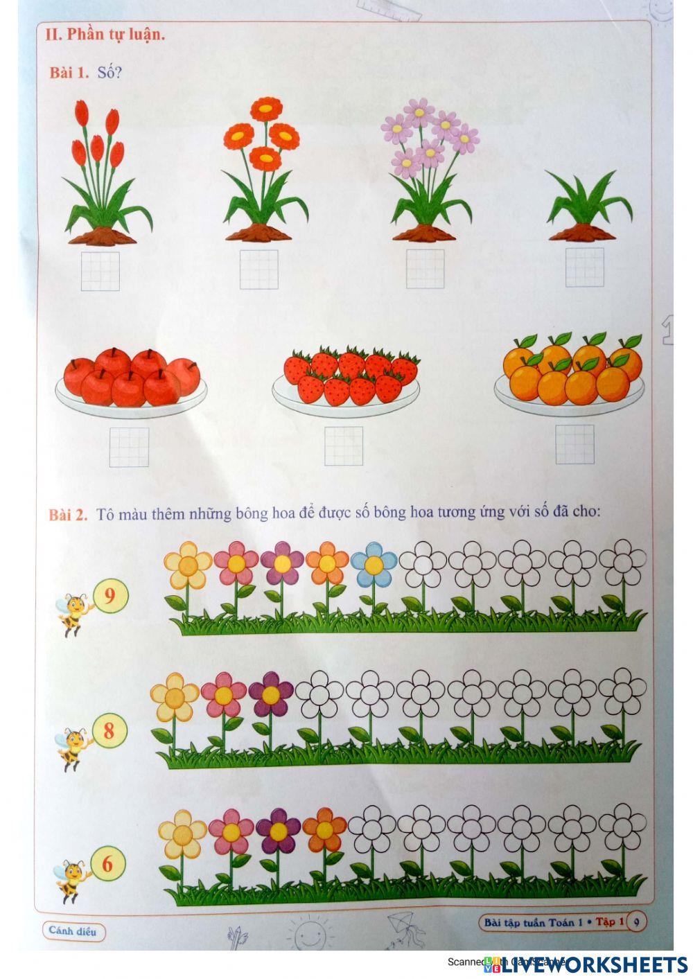 Bài tập Toán Tuần 2