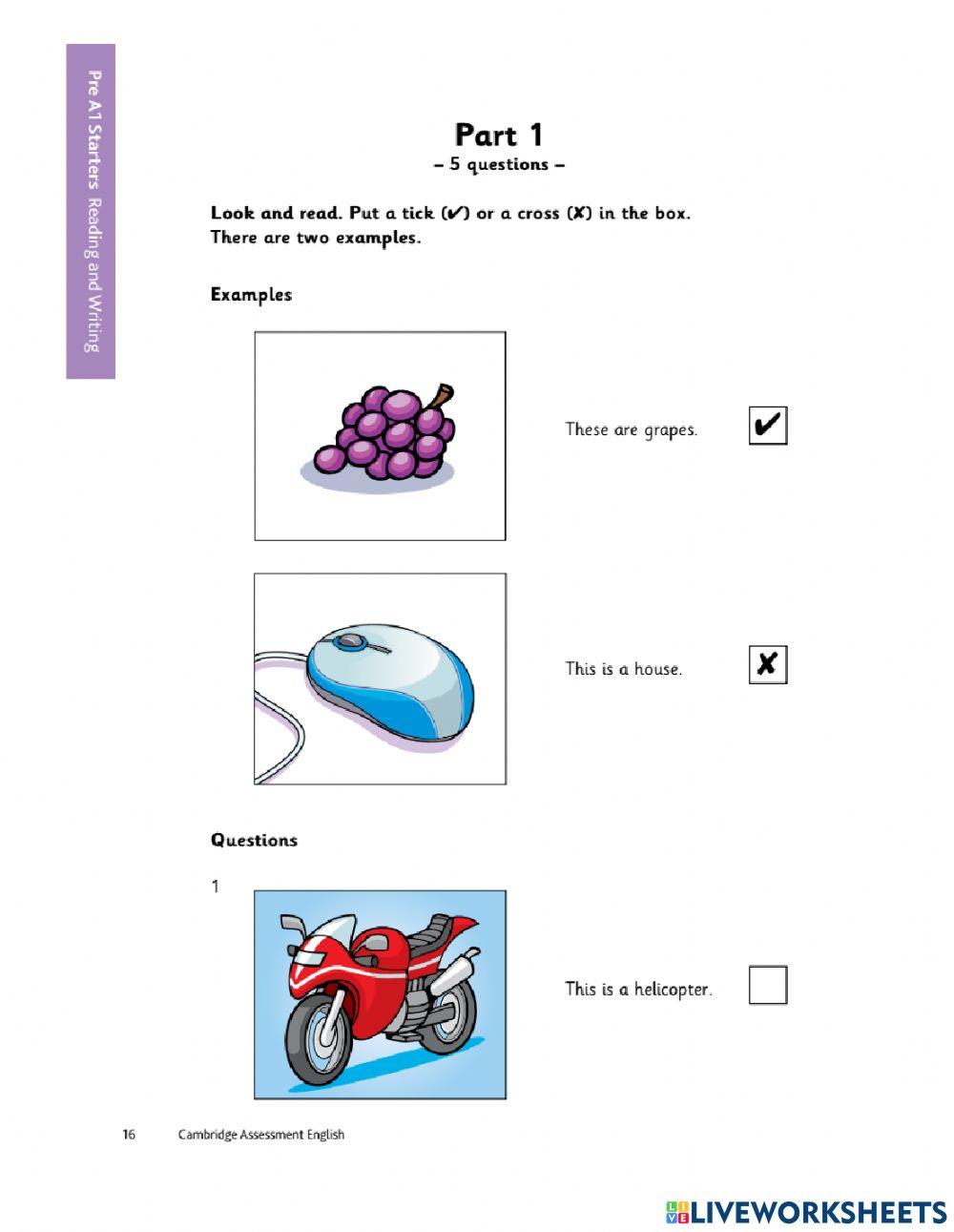 CAMBRIDGE STARTERS TEST - READING - WRITING