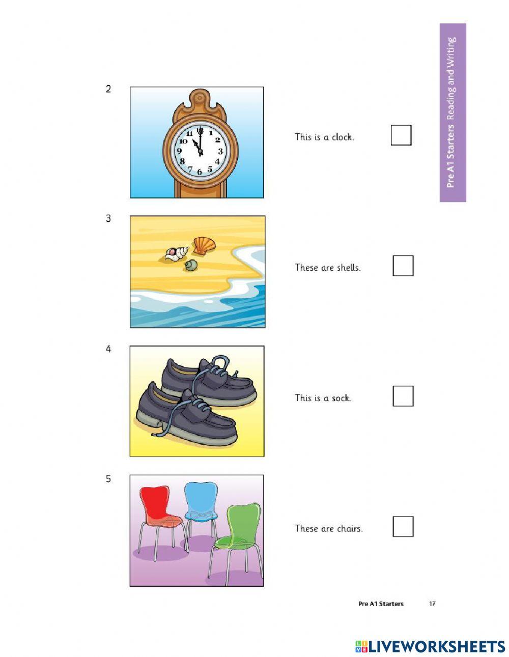 CAMBRIDGE STARTERS TEST - READING - WRITING