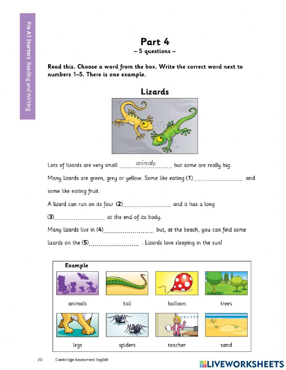 CAMBRIDGE STARTERS TEST - READING - WRITING