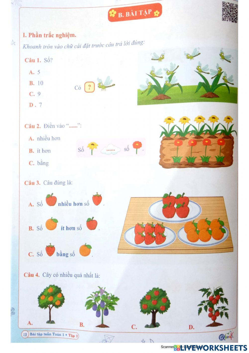 Bài tập Toán Tuần 3