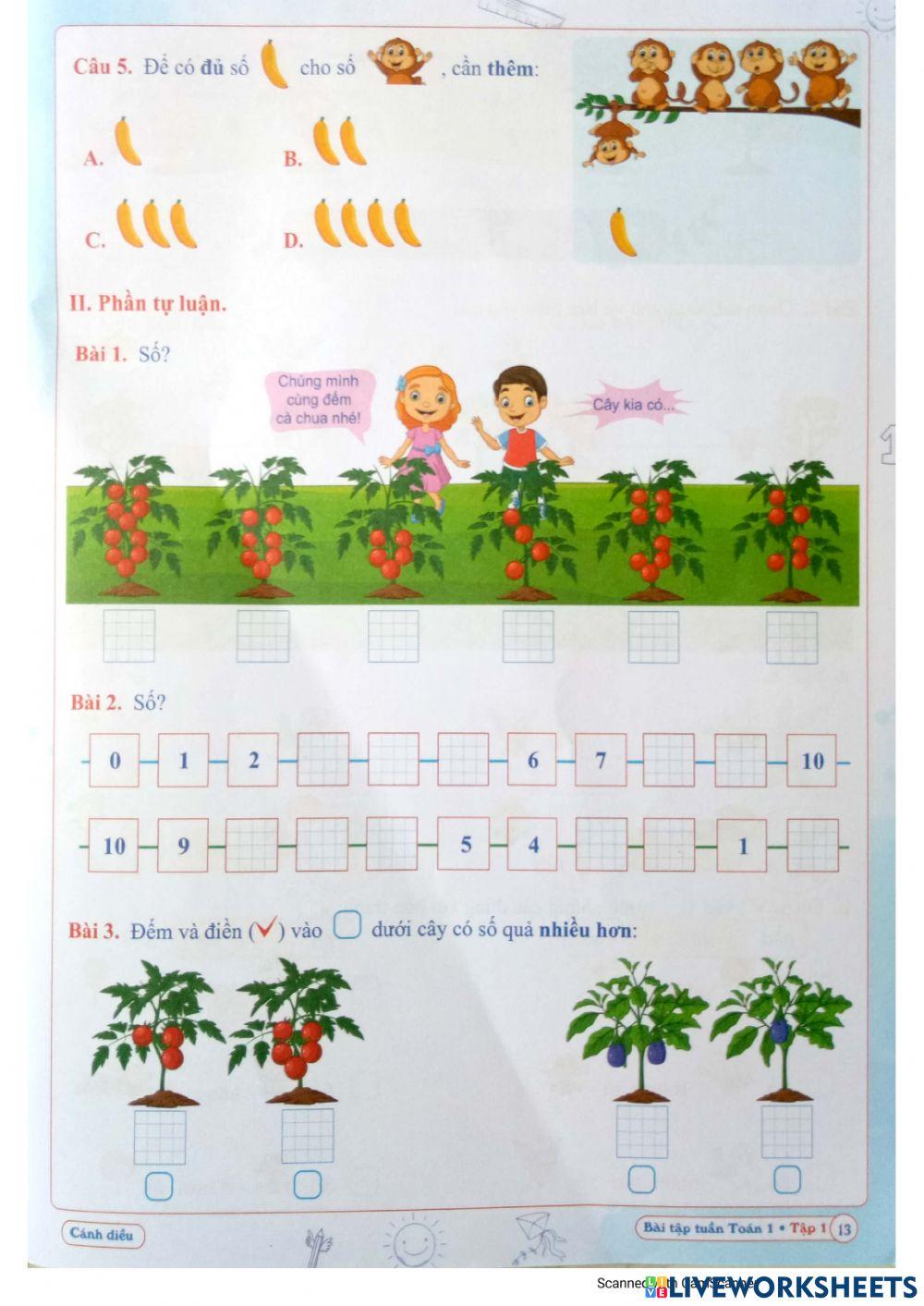 Bài tập Toán Tuần 3