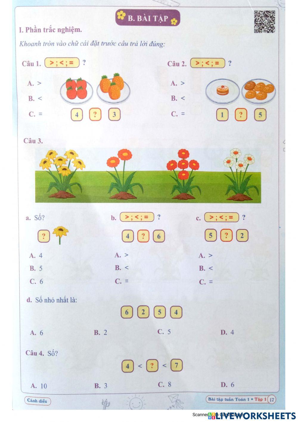 Bài tập Toán Tuần 4