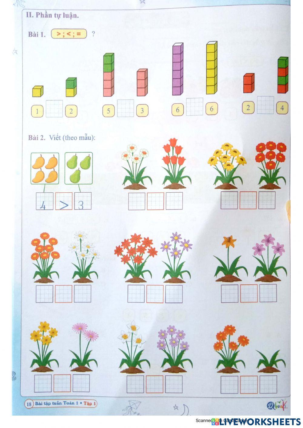 Bài tập Toán Tuần 4