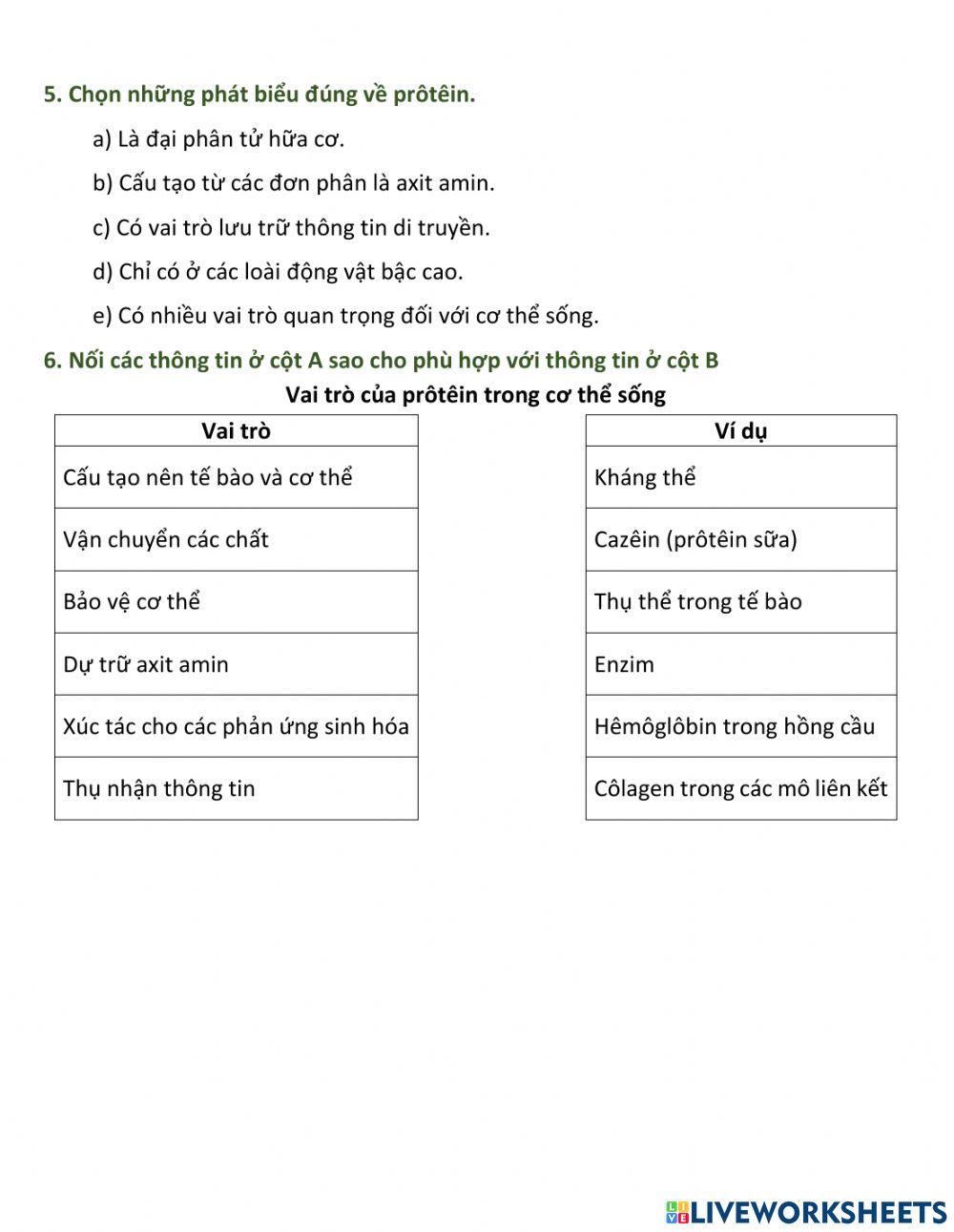 1 Ôn tập ADN, ARNm và prôtêin