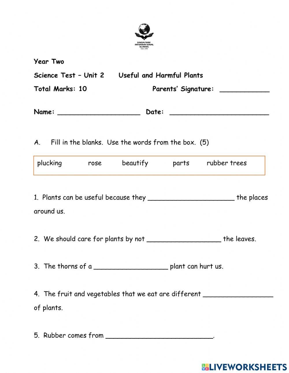 Useful Plants Worksheets