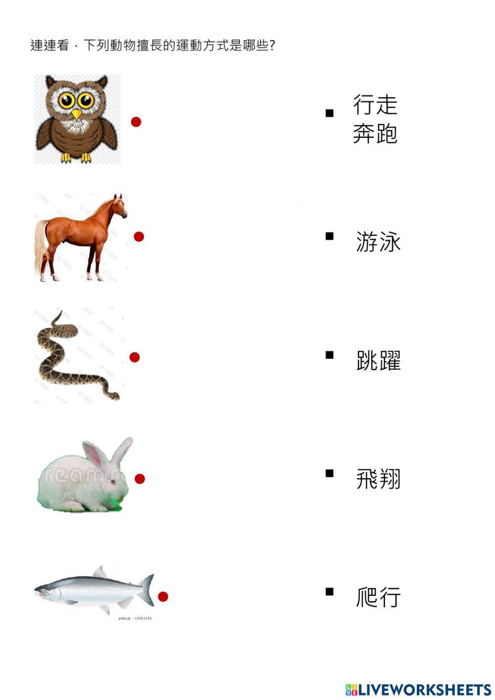 動物的運動方式