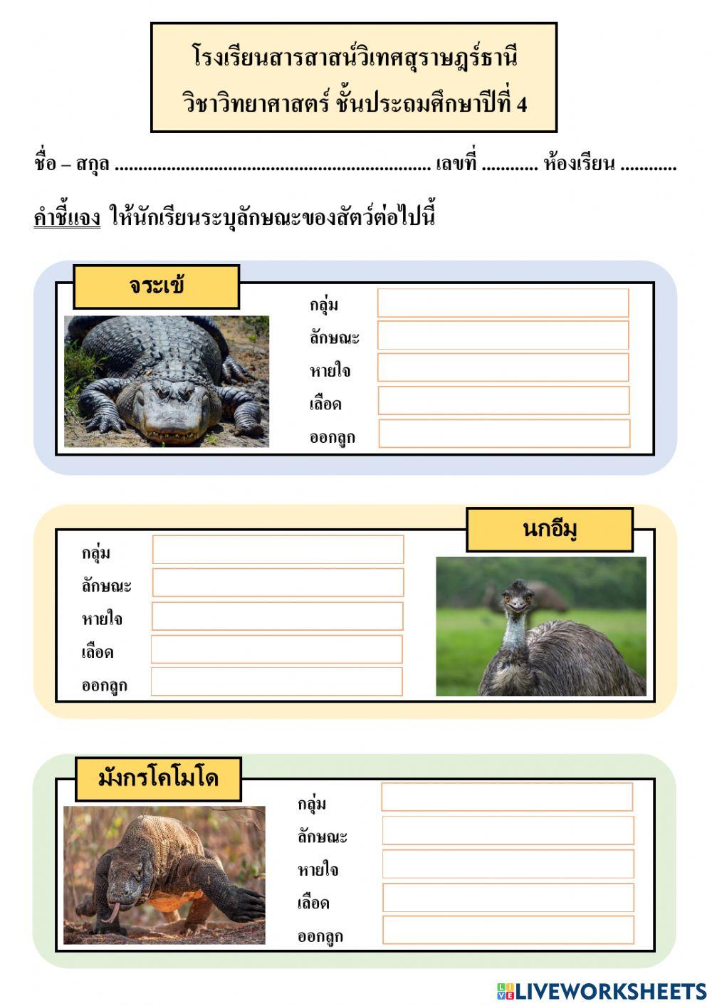 แบบฝึกหัด วิทยาศาสตร์ คาบ 1 week 4