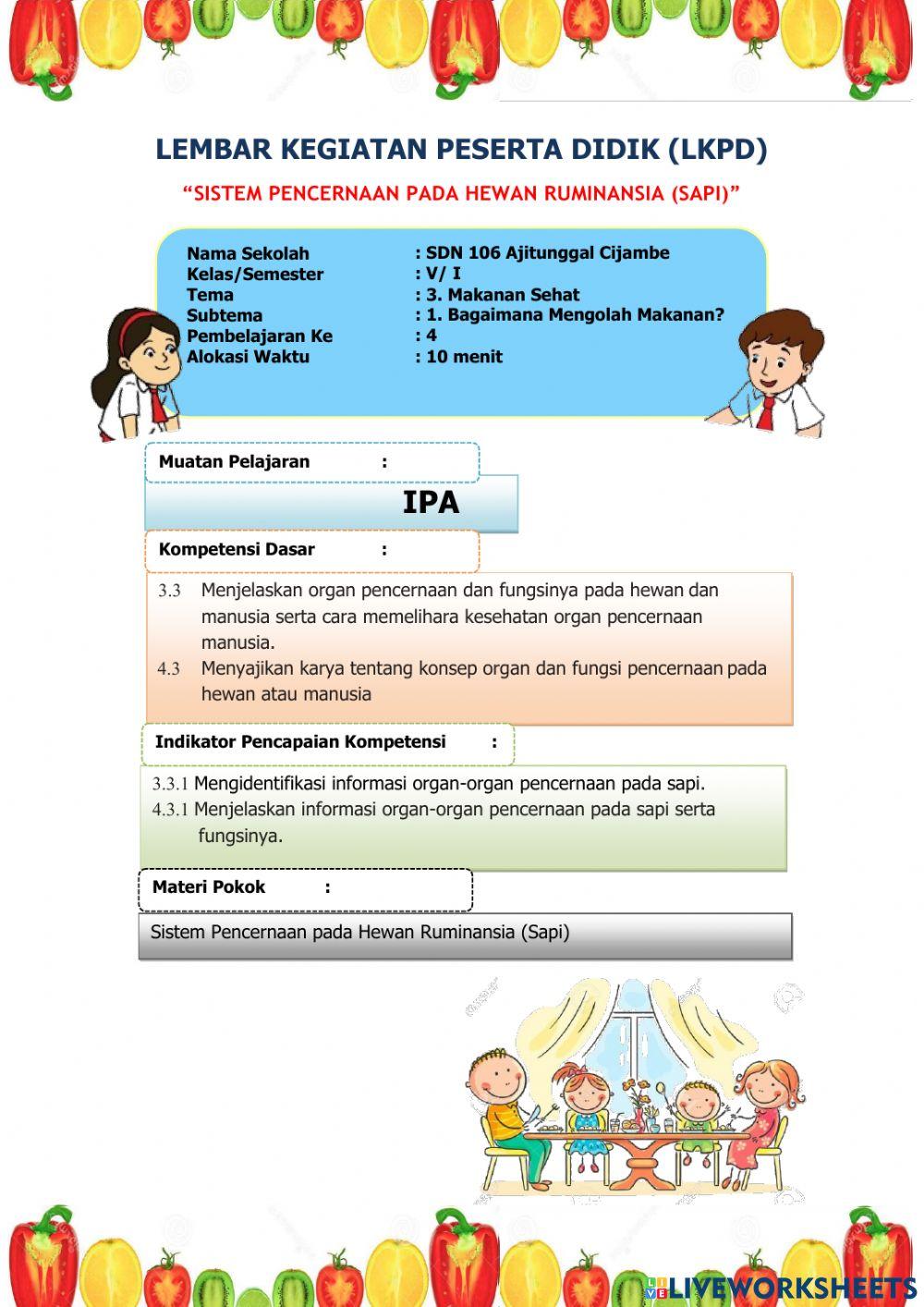Sistem Pencernaan Hewan