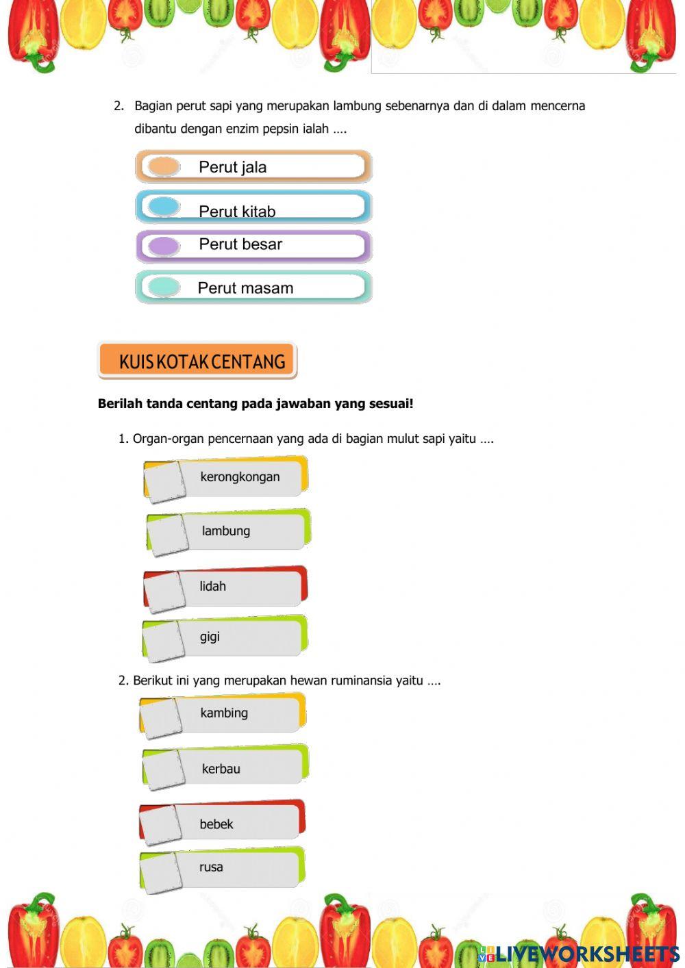 Sistem Pencernaan Hewan