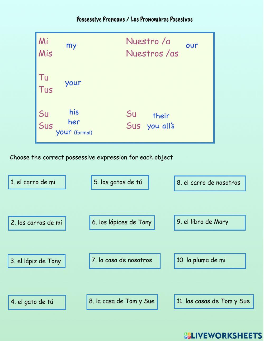 Pronombres Possessivos