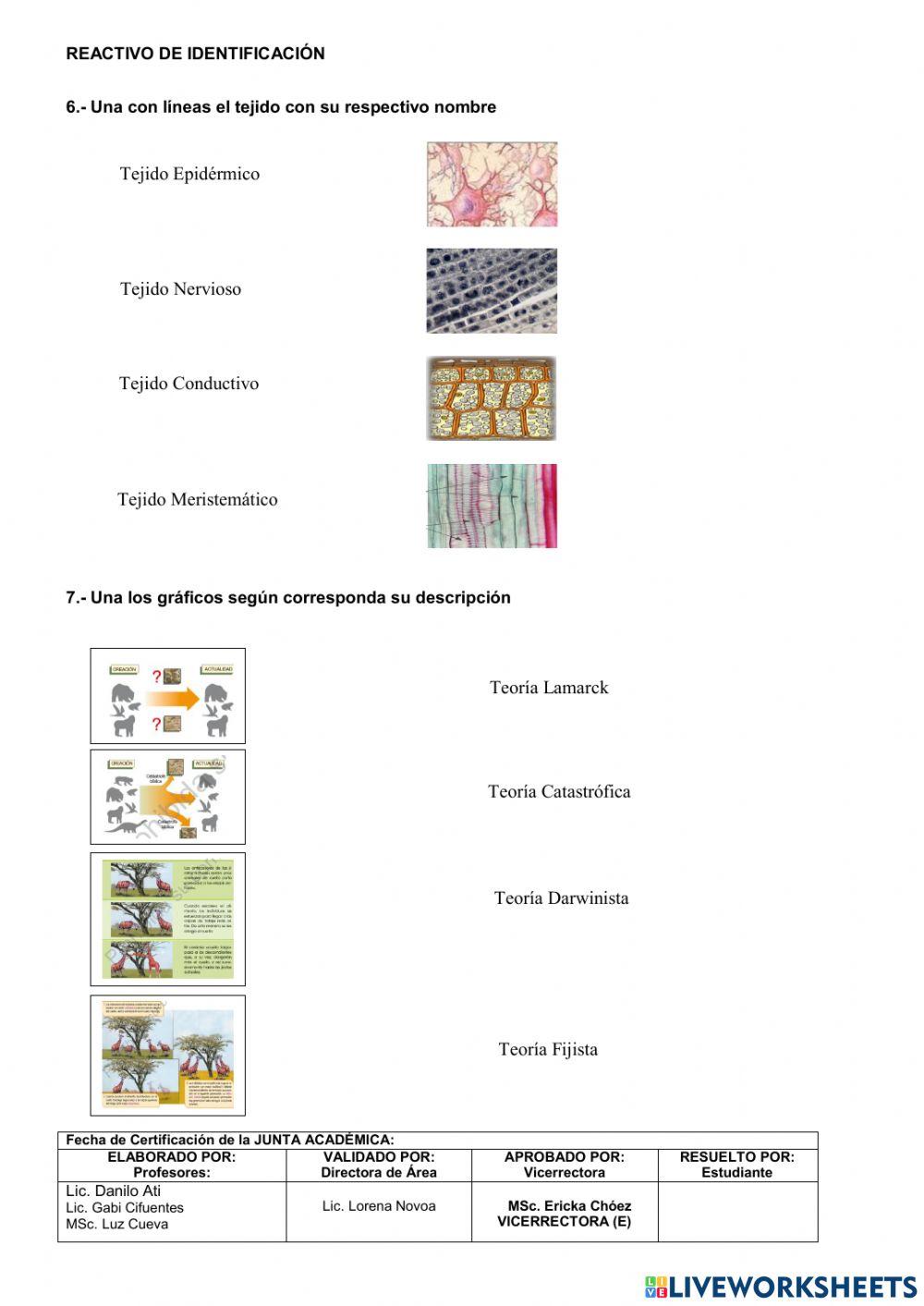 Prueba de diagnostico