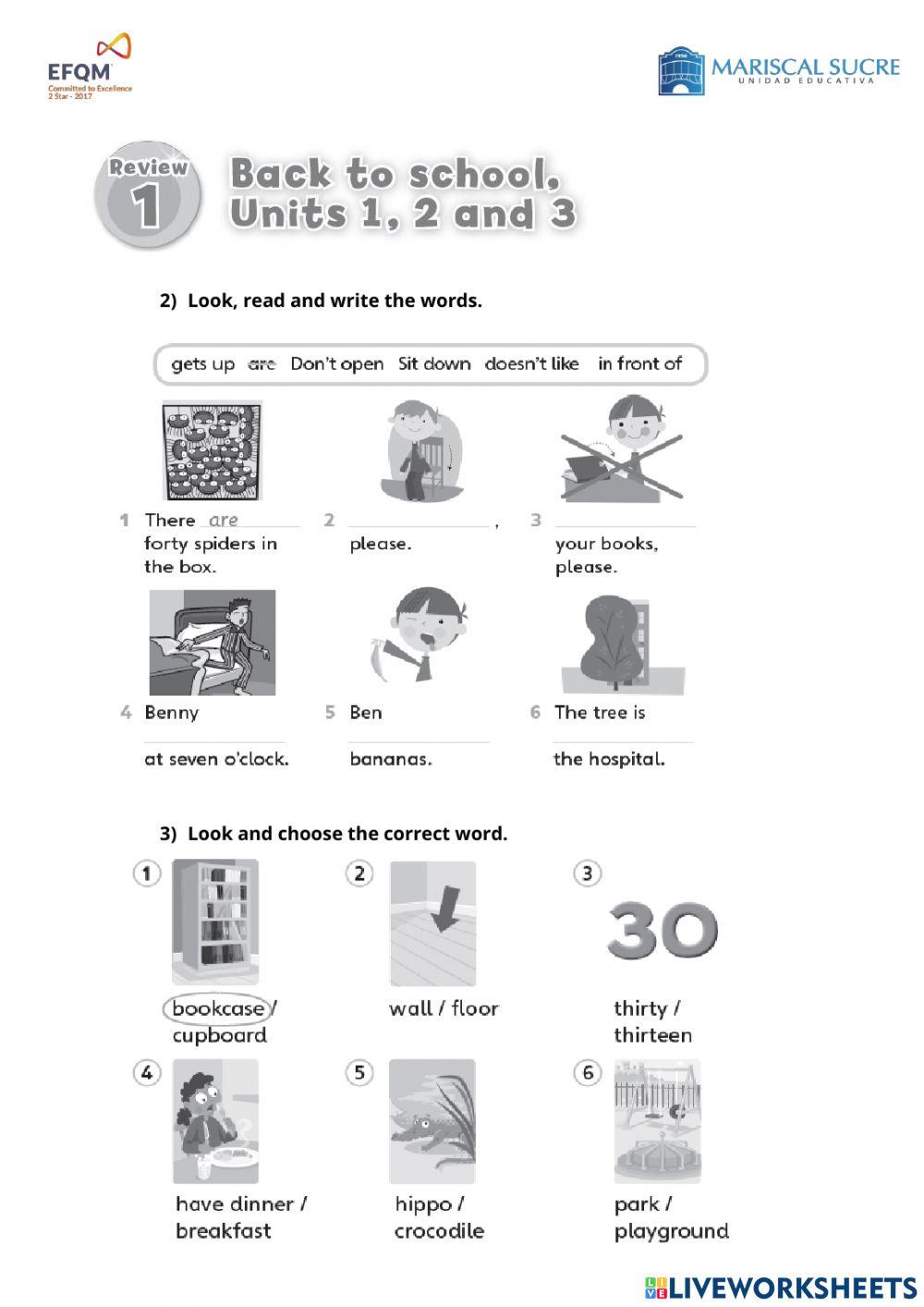 Review for exams I Quinquemestre