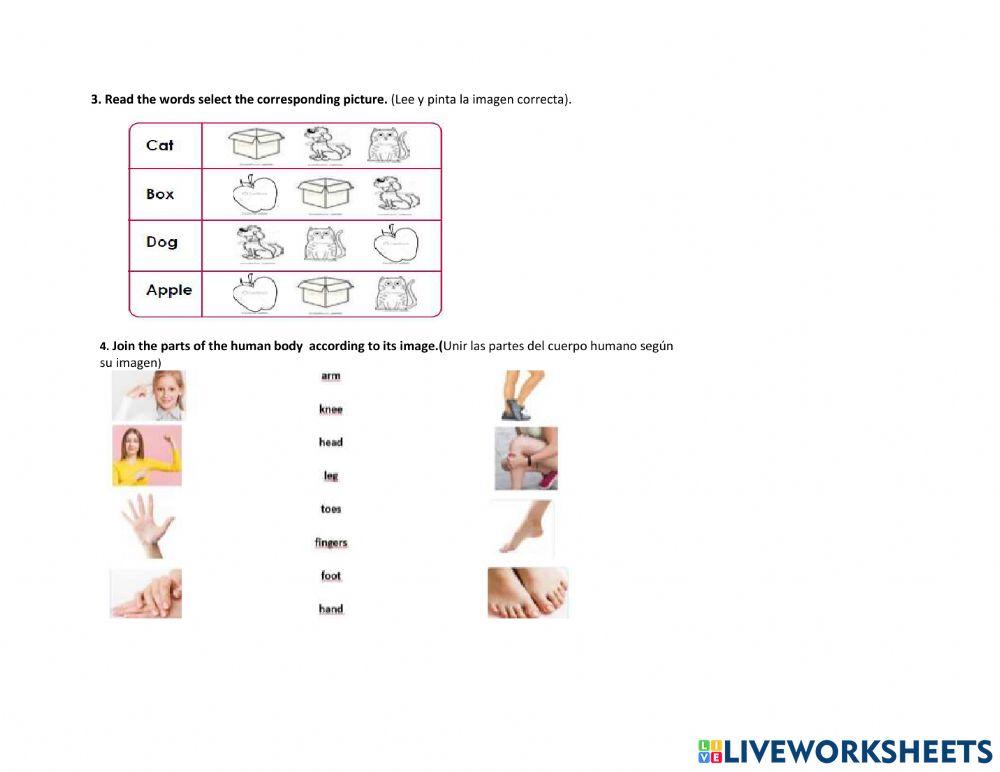 Diagnóstica tercer grado