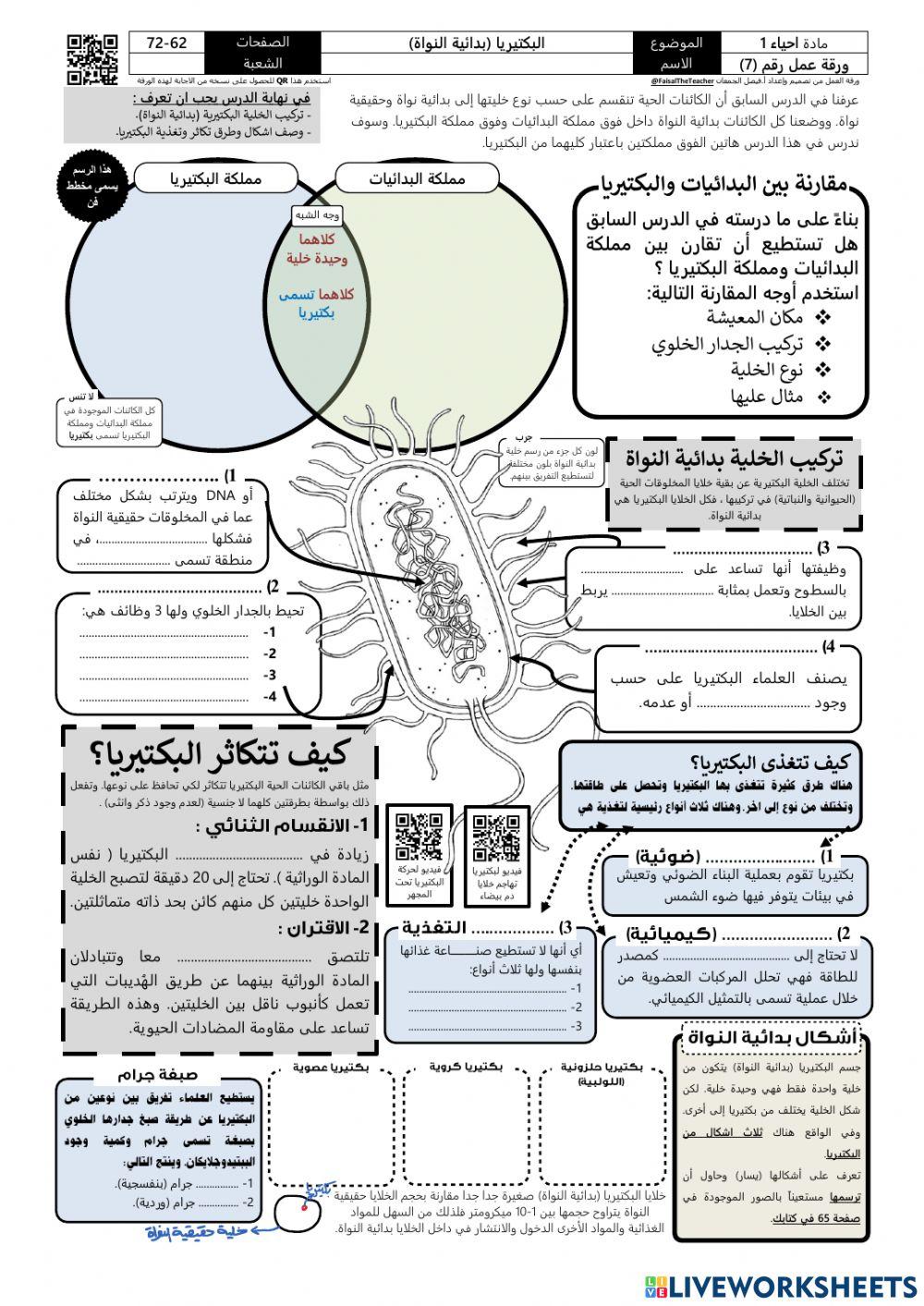 البكتيريا (بدائية النواة)