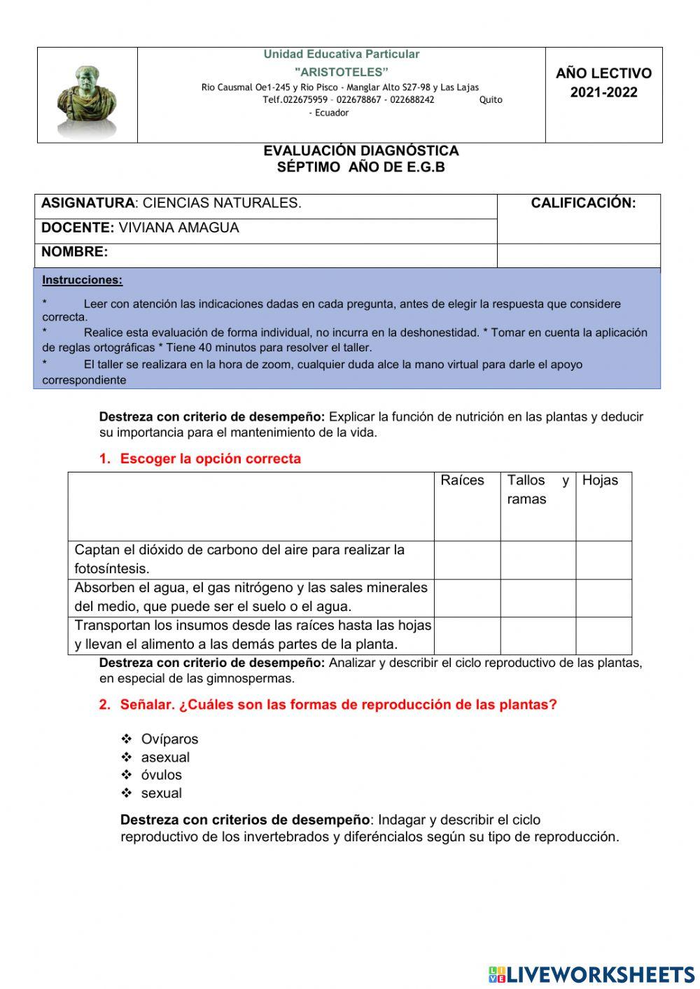 EVALUACIÓN DIAGNÓSTICA CIENCIAS NATURALES