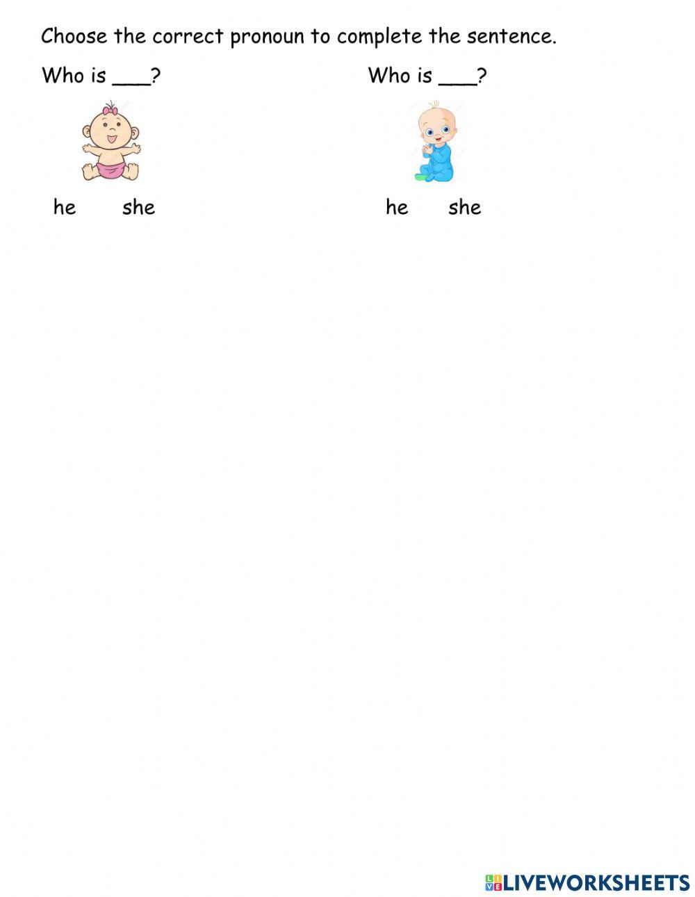 Basic English grammar