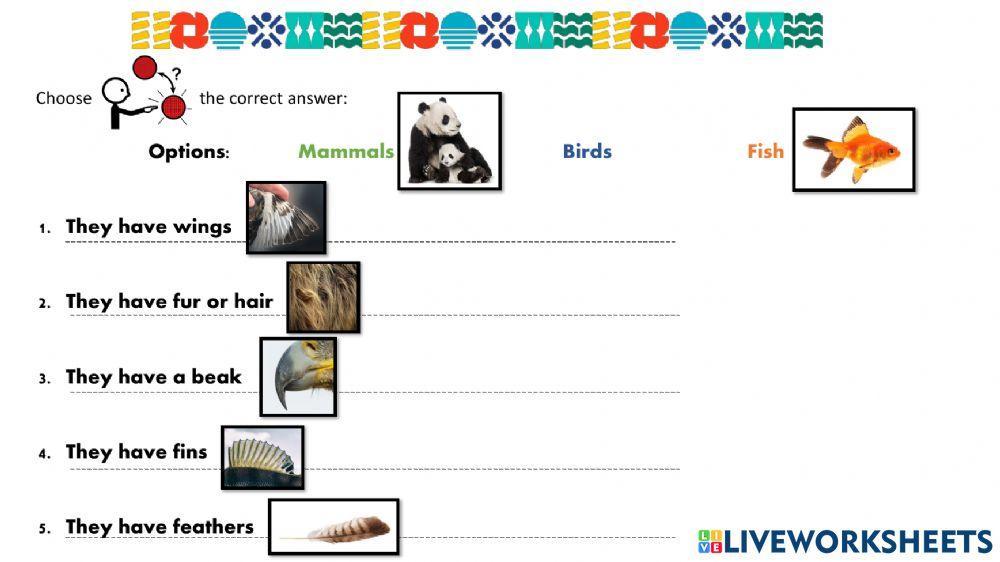 Animal Classes Classification