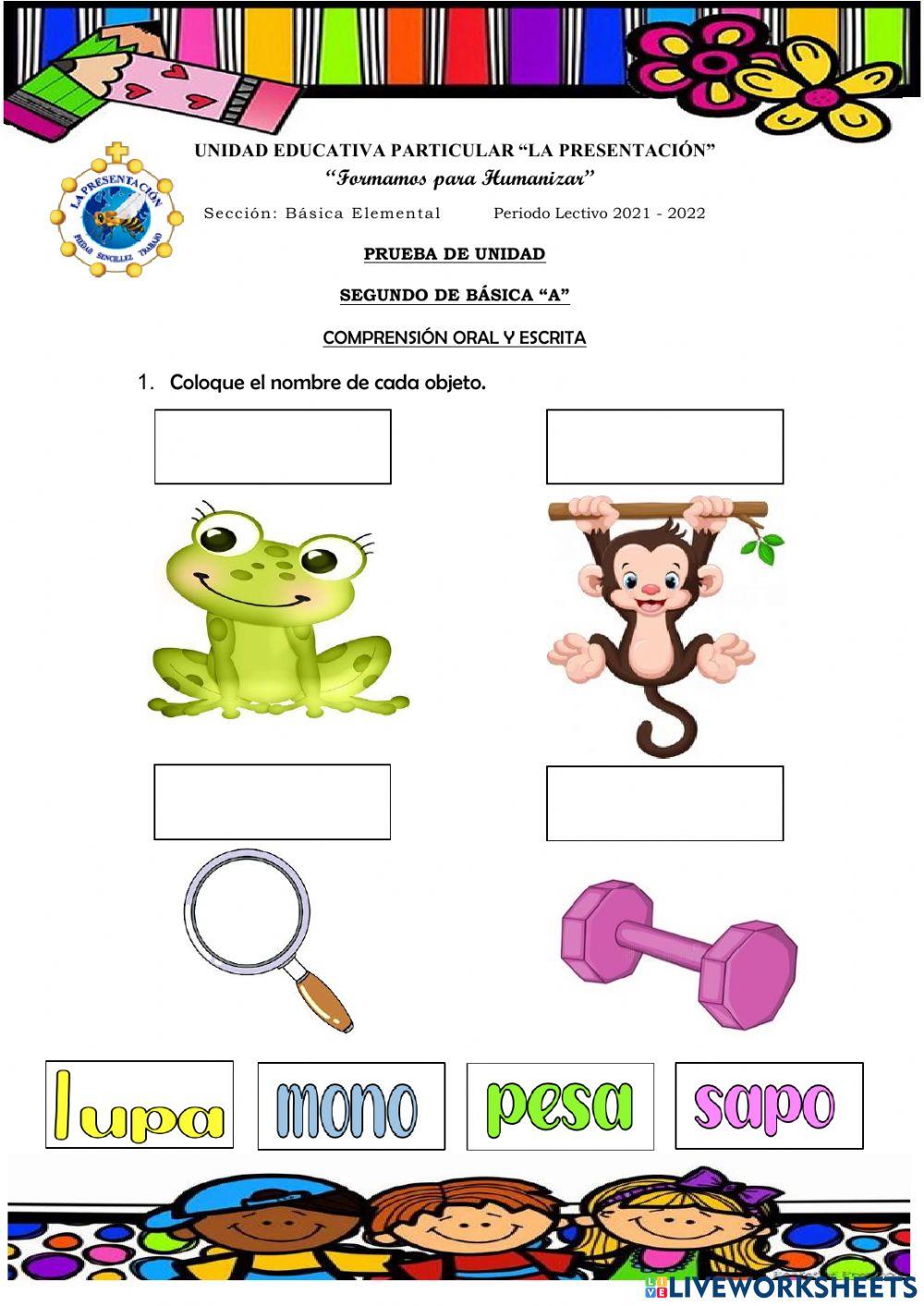 P. Diagnóstico Lengua