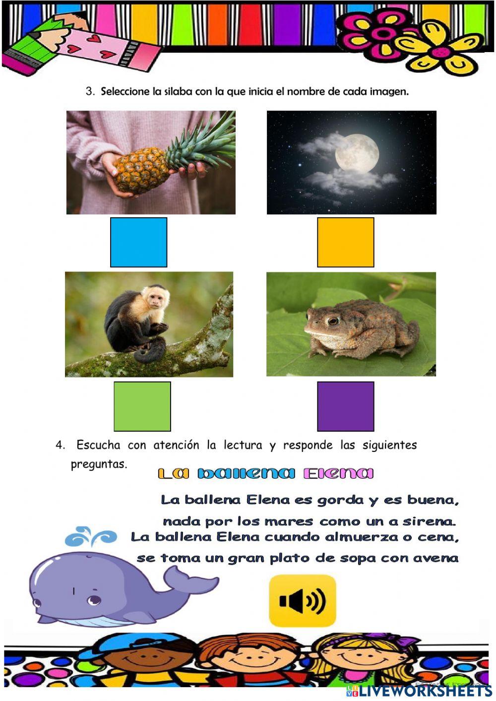 P. Diagnóstico Lengua