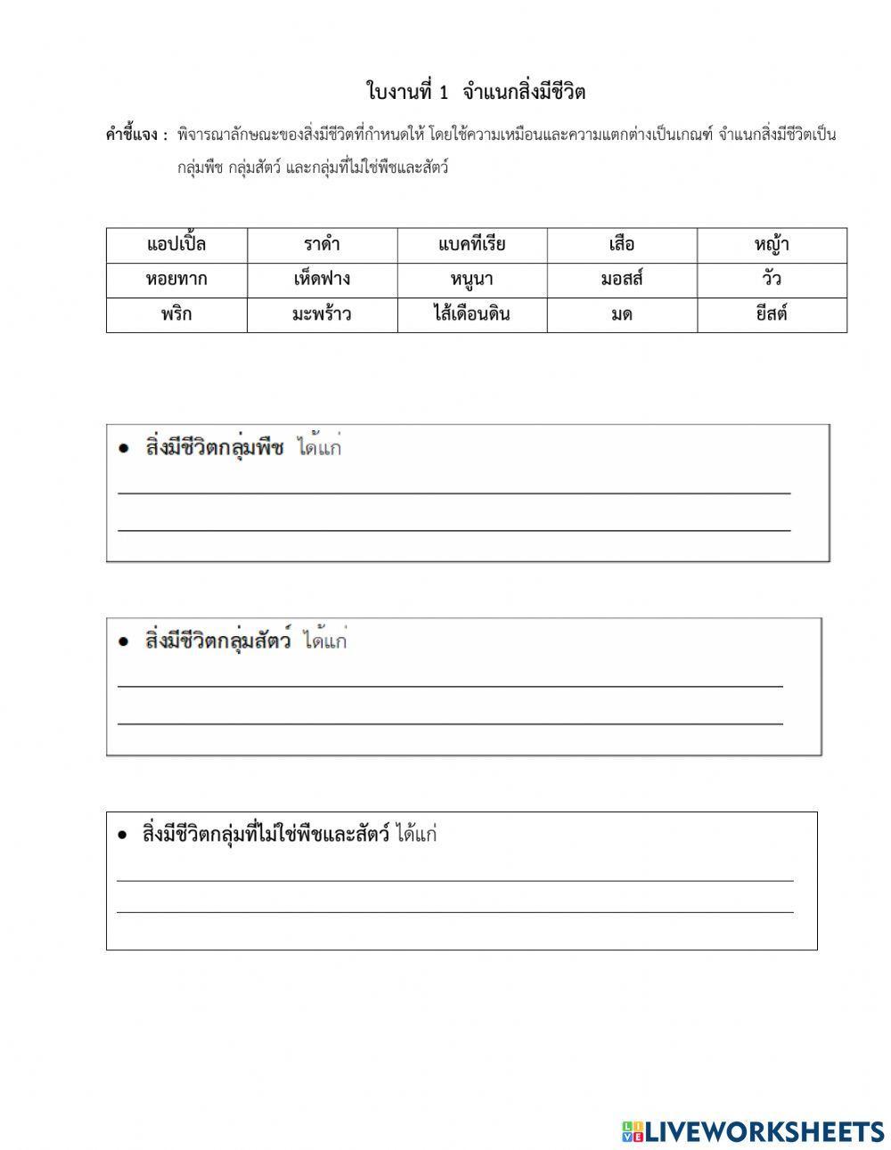 ใบงานวิทยาศาสตร์ ป.4