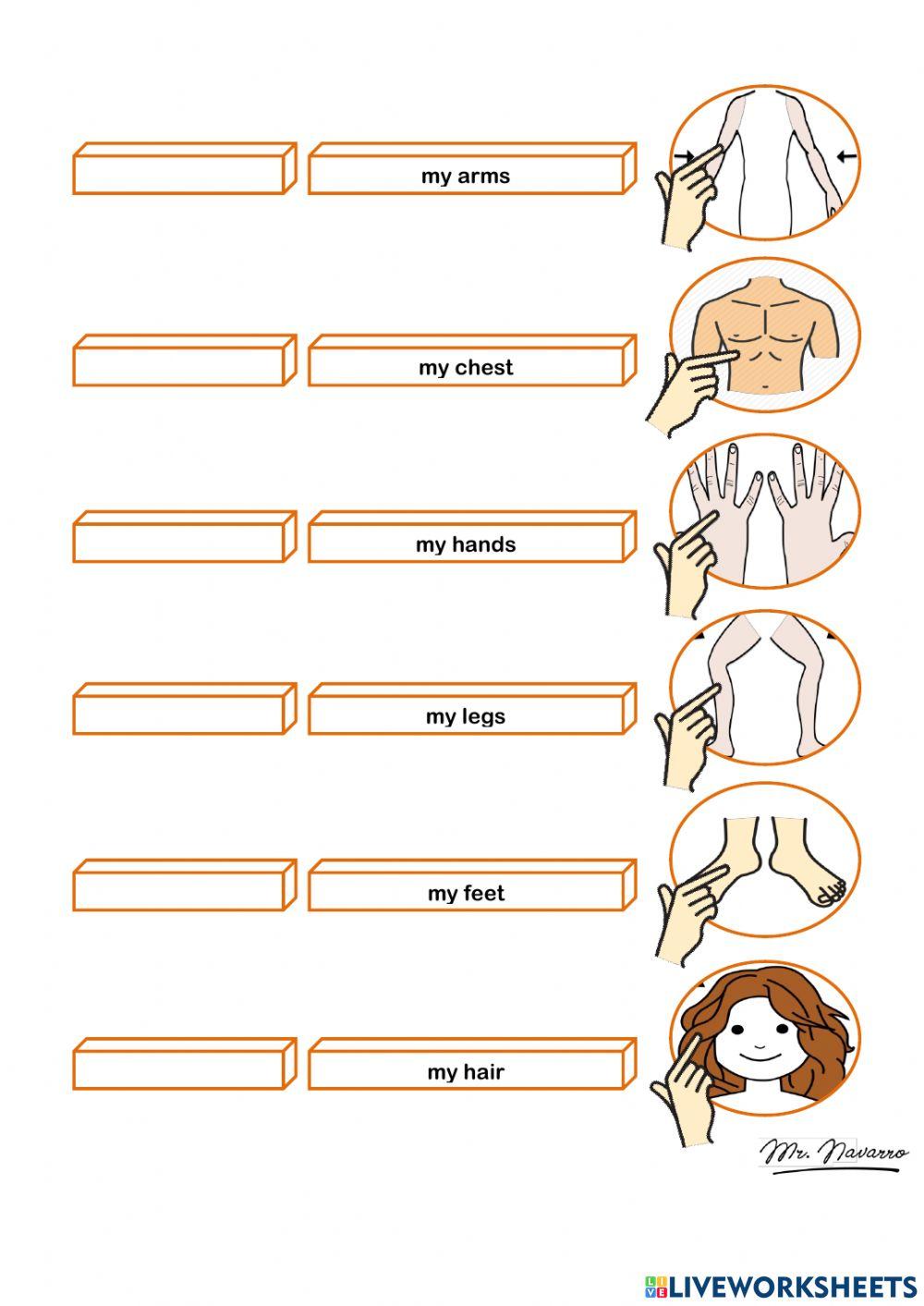 This is - These are (Sentence Builders)