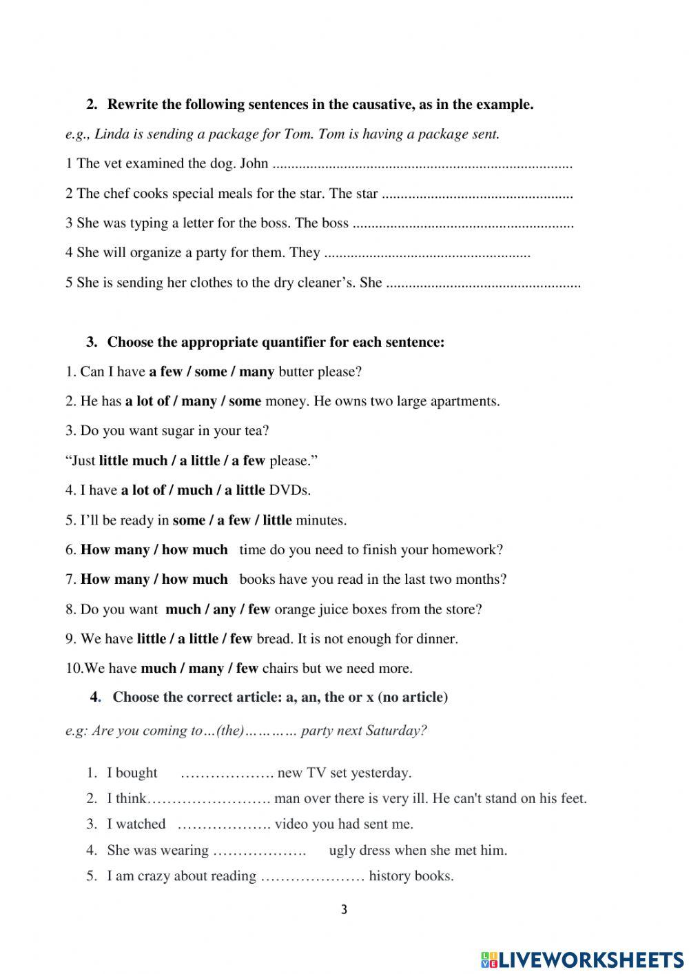 DS - Access 3 - Test 4 Vocab + Gr