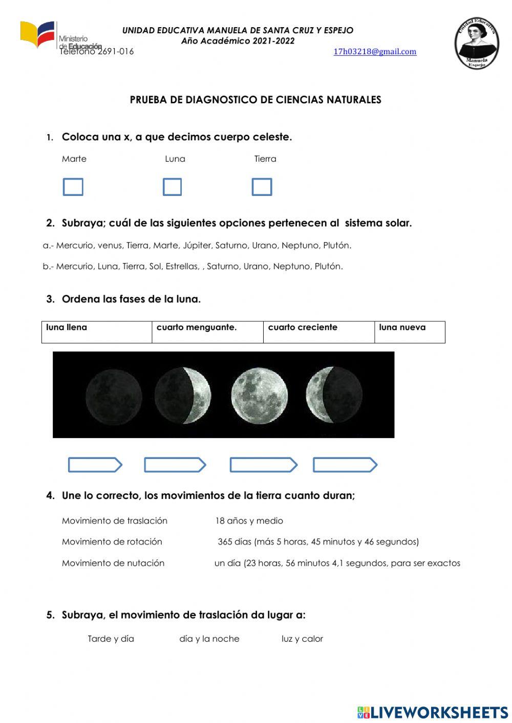 Ciencias naturales 6 online exercise for