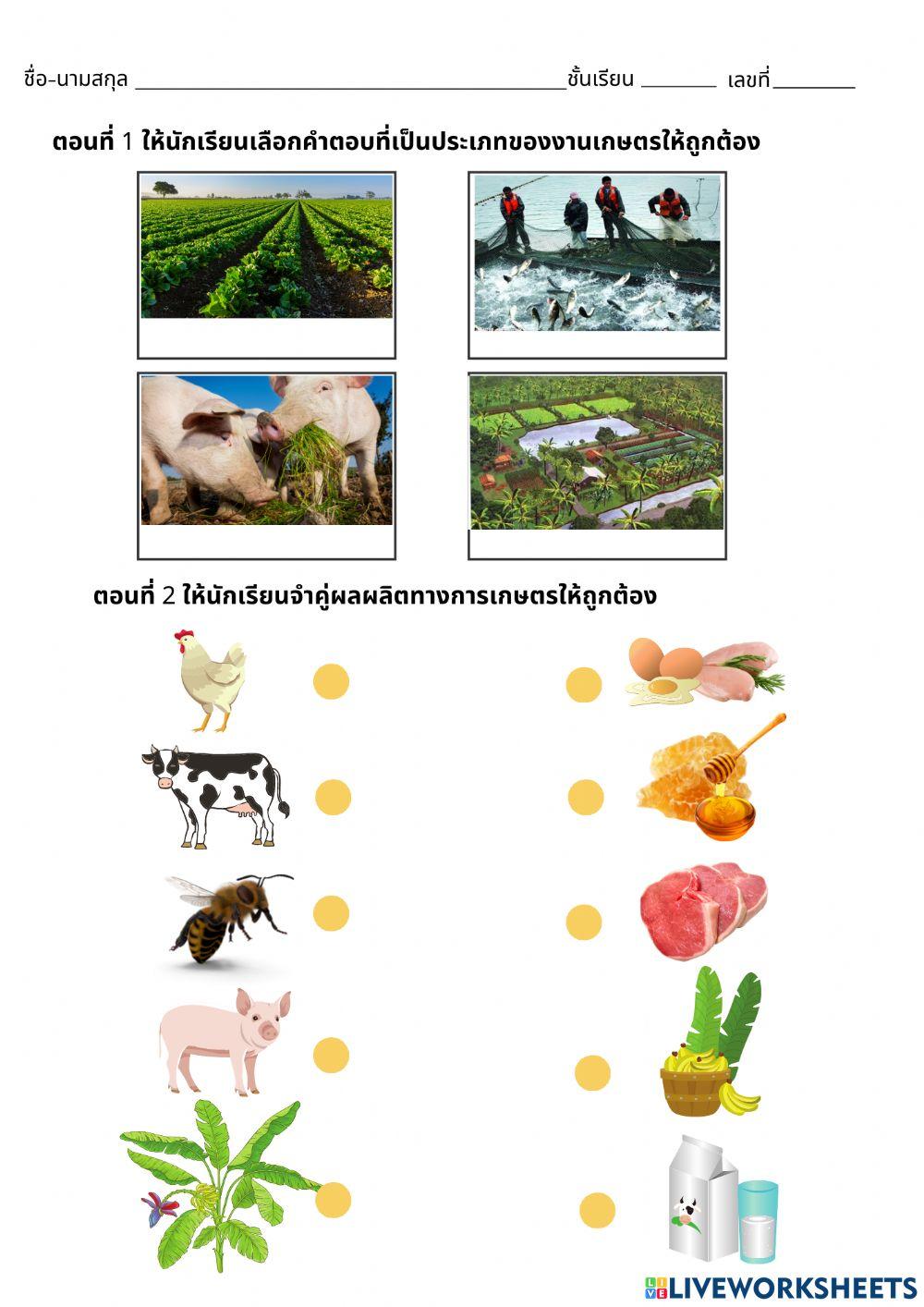 งานเกษตร ป.1