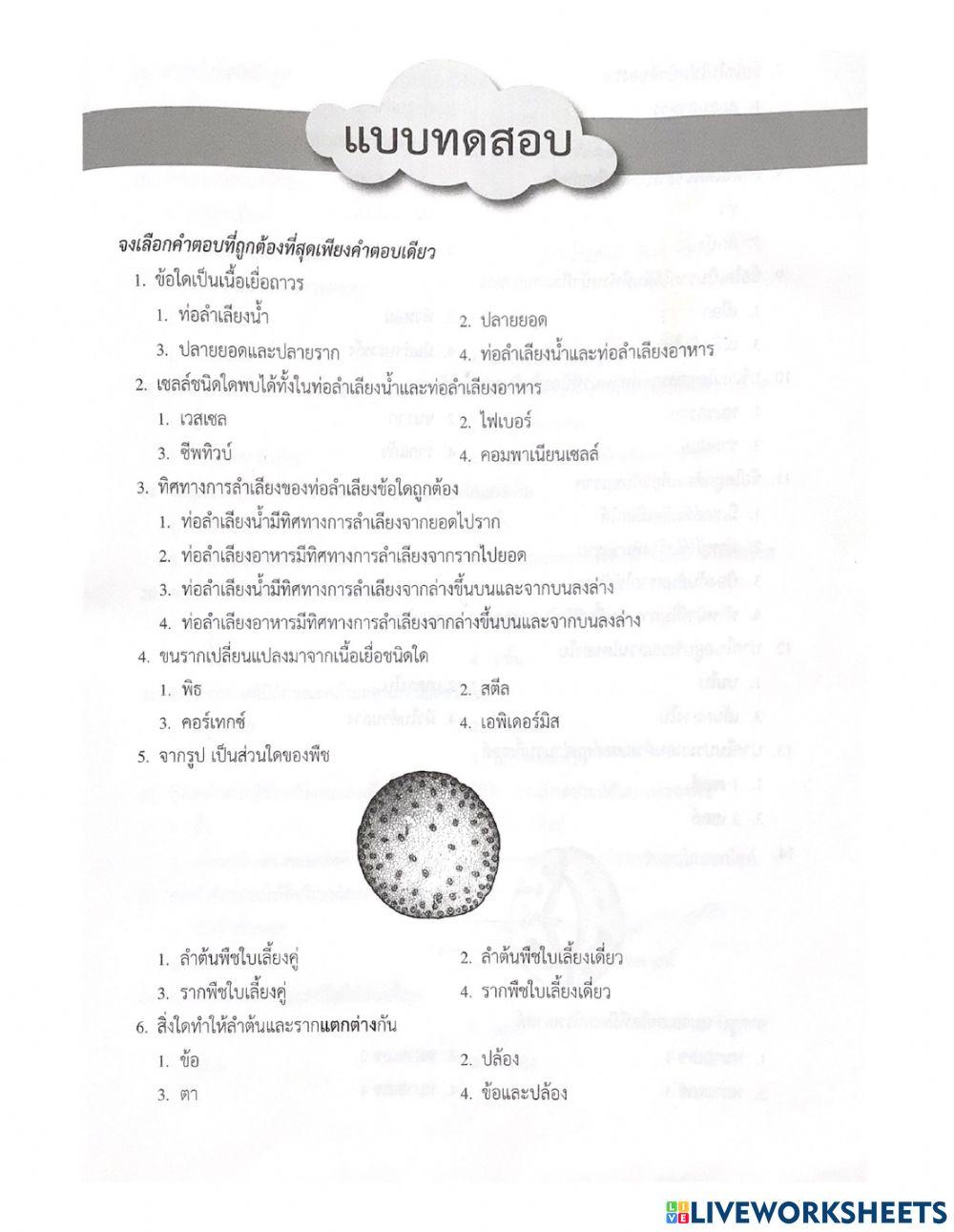 แบบทดสอบการดำรงชีวิตของพืช