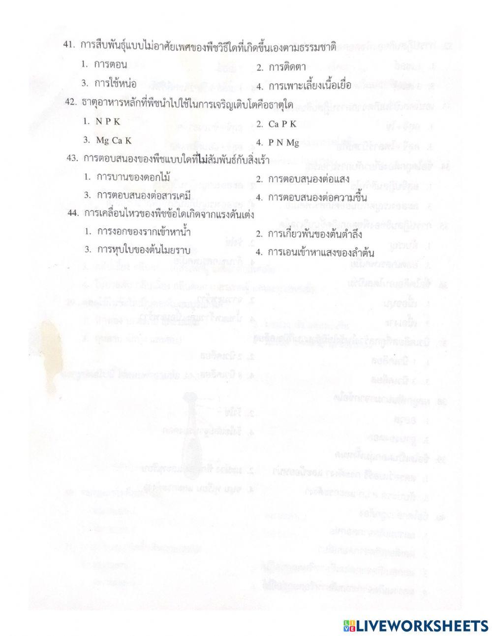 แบบทดสอบการดำรงชีวิตของพืช