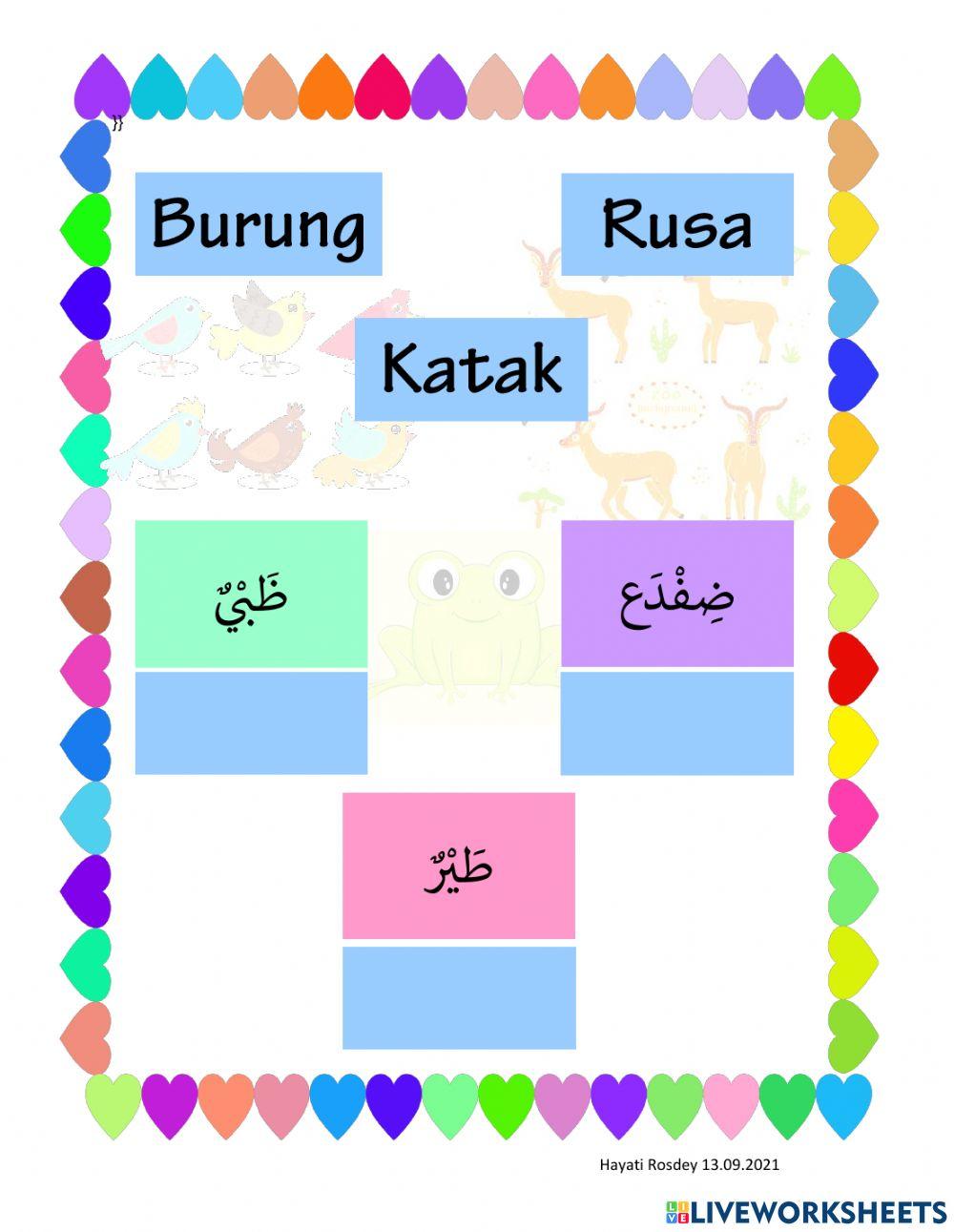 Bahasa Arab djh pra dhod tho zho