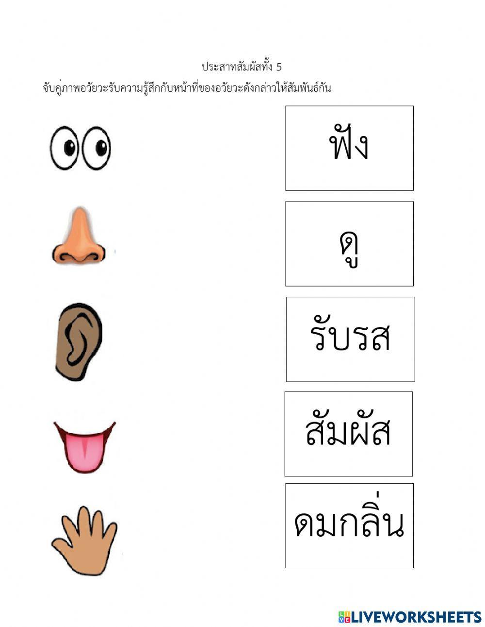 โยงเส้นจับคู่
