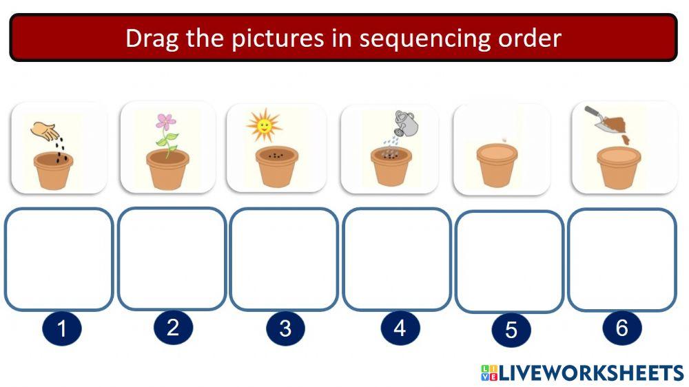 Sequence words drag & drop worksheet | Live Worksheets