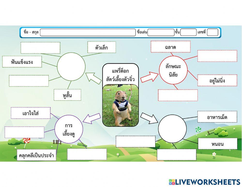ใบงาน แผนภาพความคิด เรื่อง แพรี่ด็อก สัตว์เลี้ยงตัวจิ๋ว