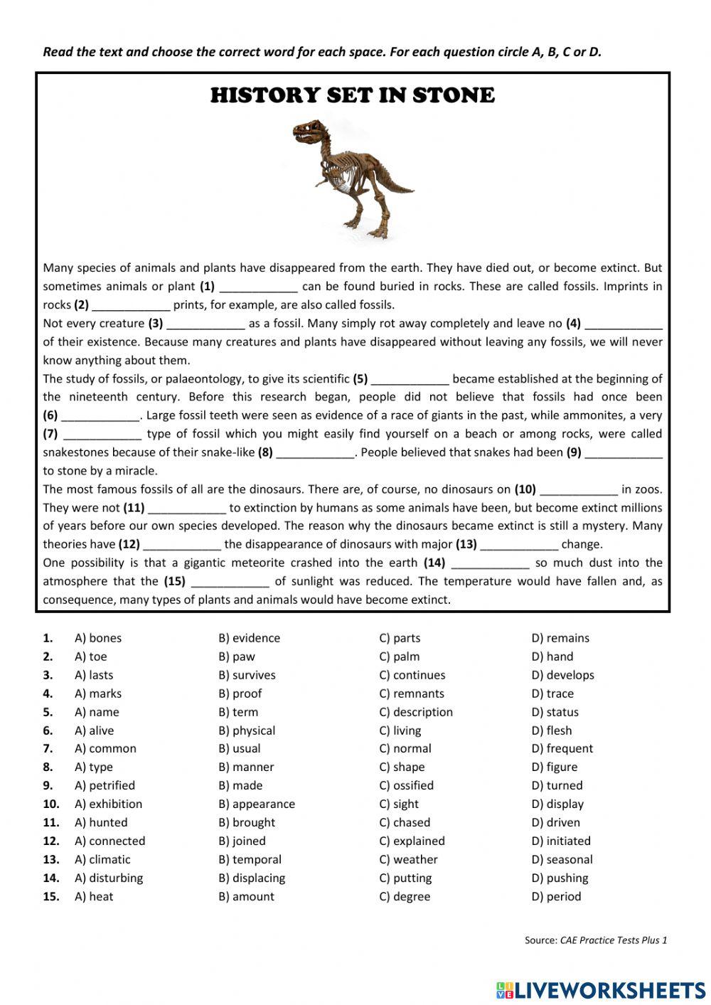 History set in stone