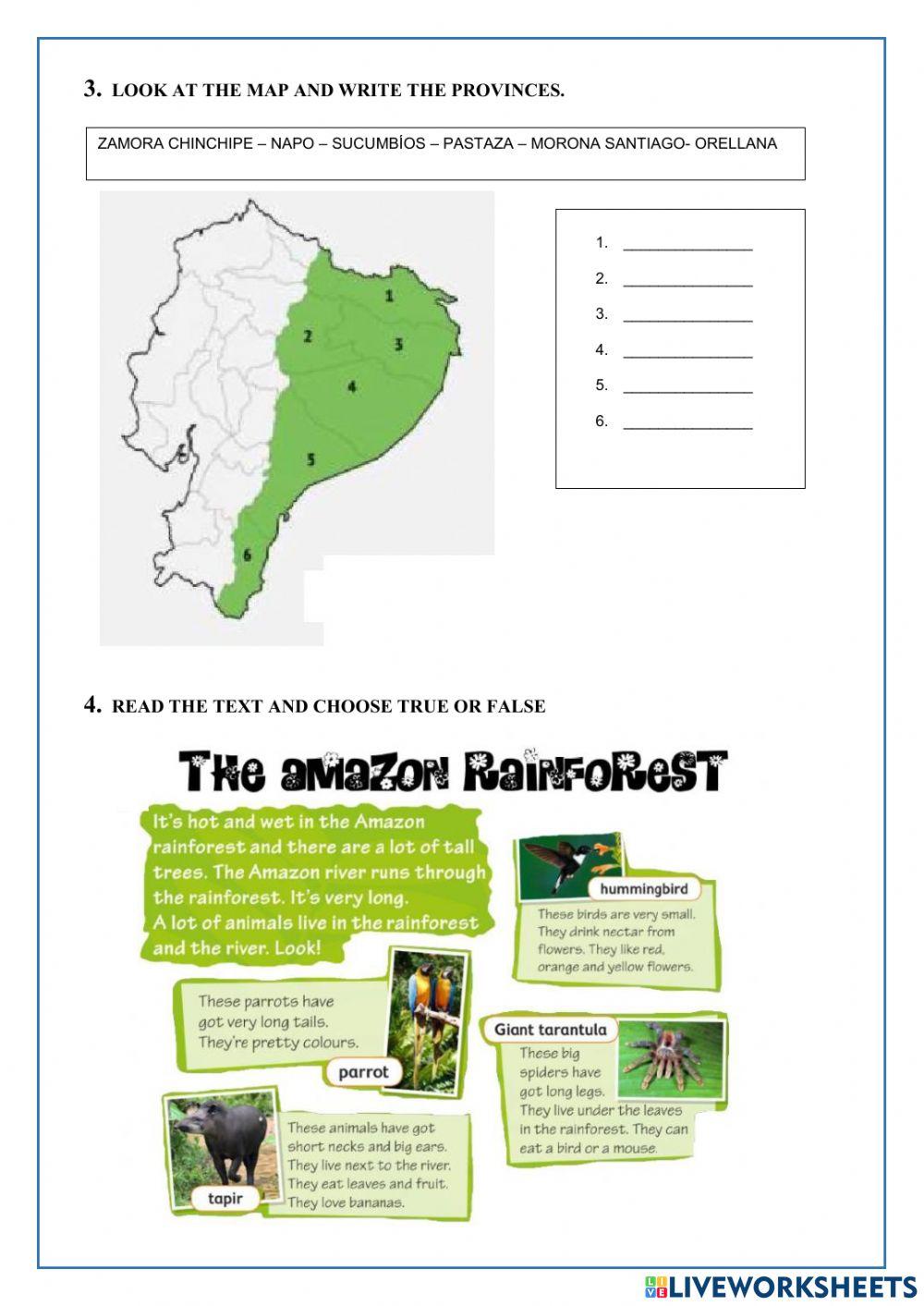 Social studies test ii partial
