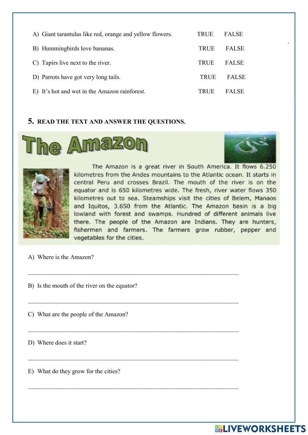 Social studies test ii partial