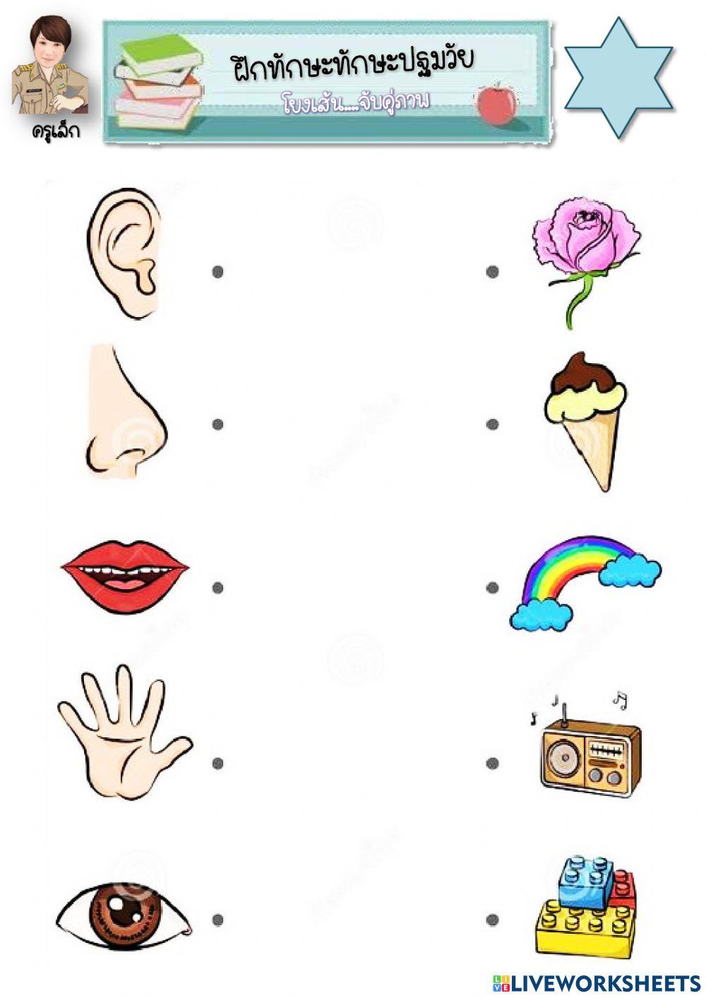 ครูเล็ก ศพด.ทต.บางเดื่อ