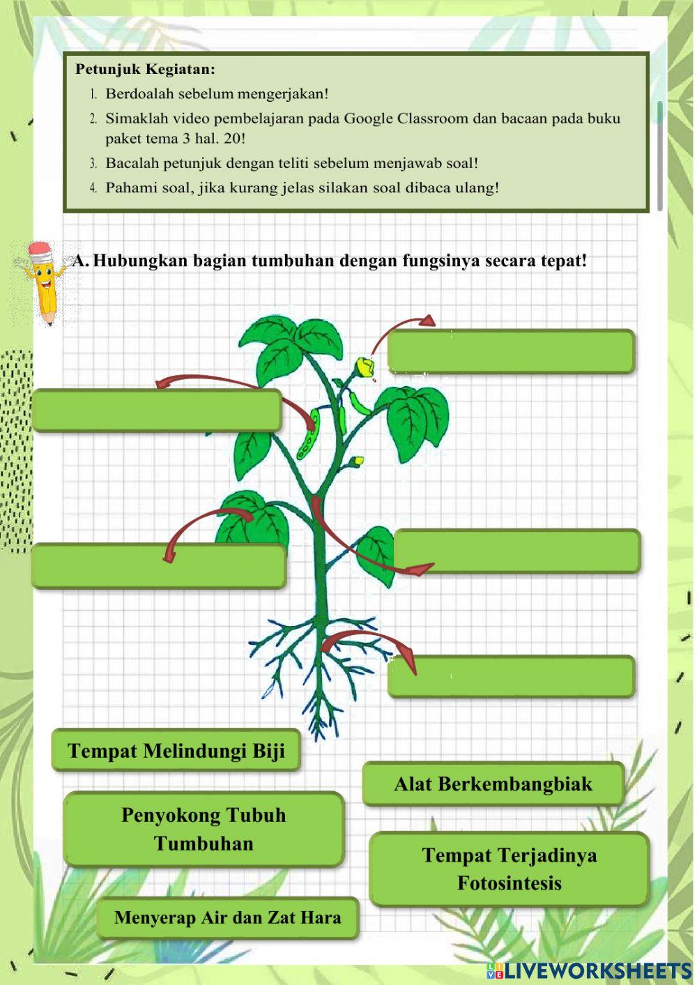 Tema 3 Subtema 1 Pembelajaran 3