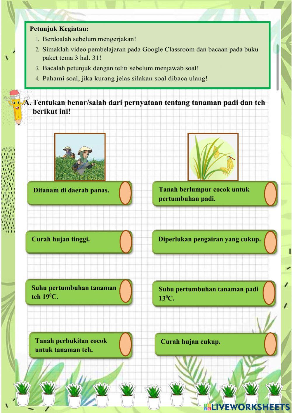 Tema 3 Subtema 1 Pembelajaran 5