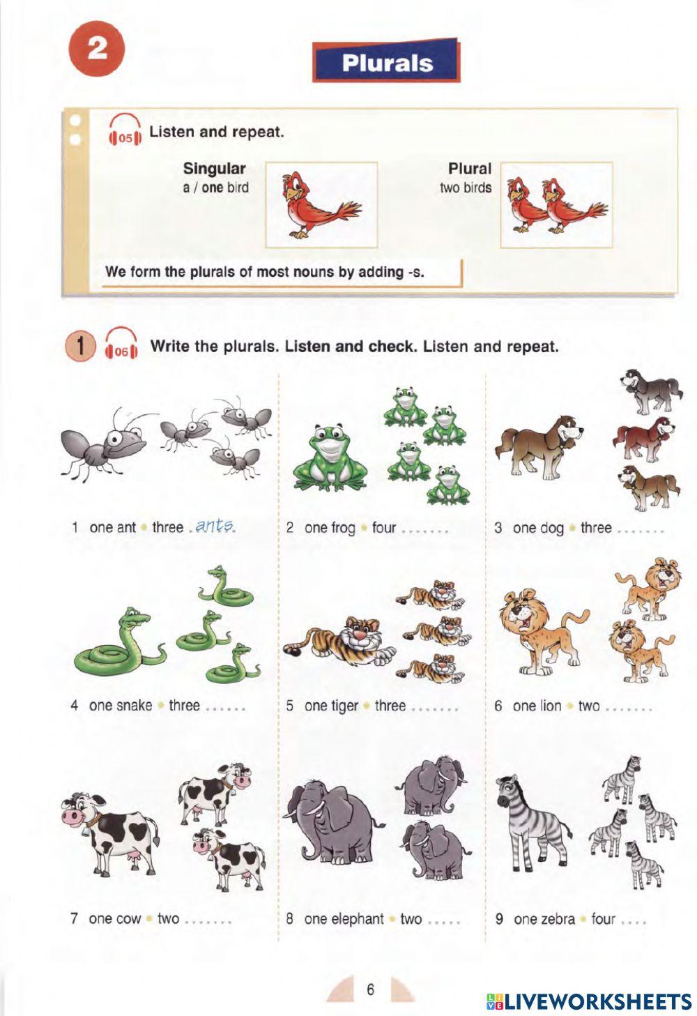 Regular plural noun Regular plural noun