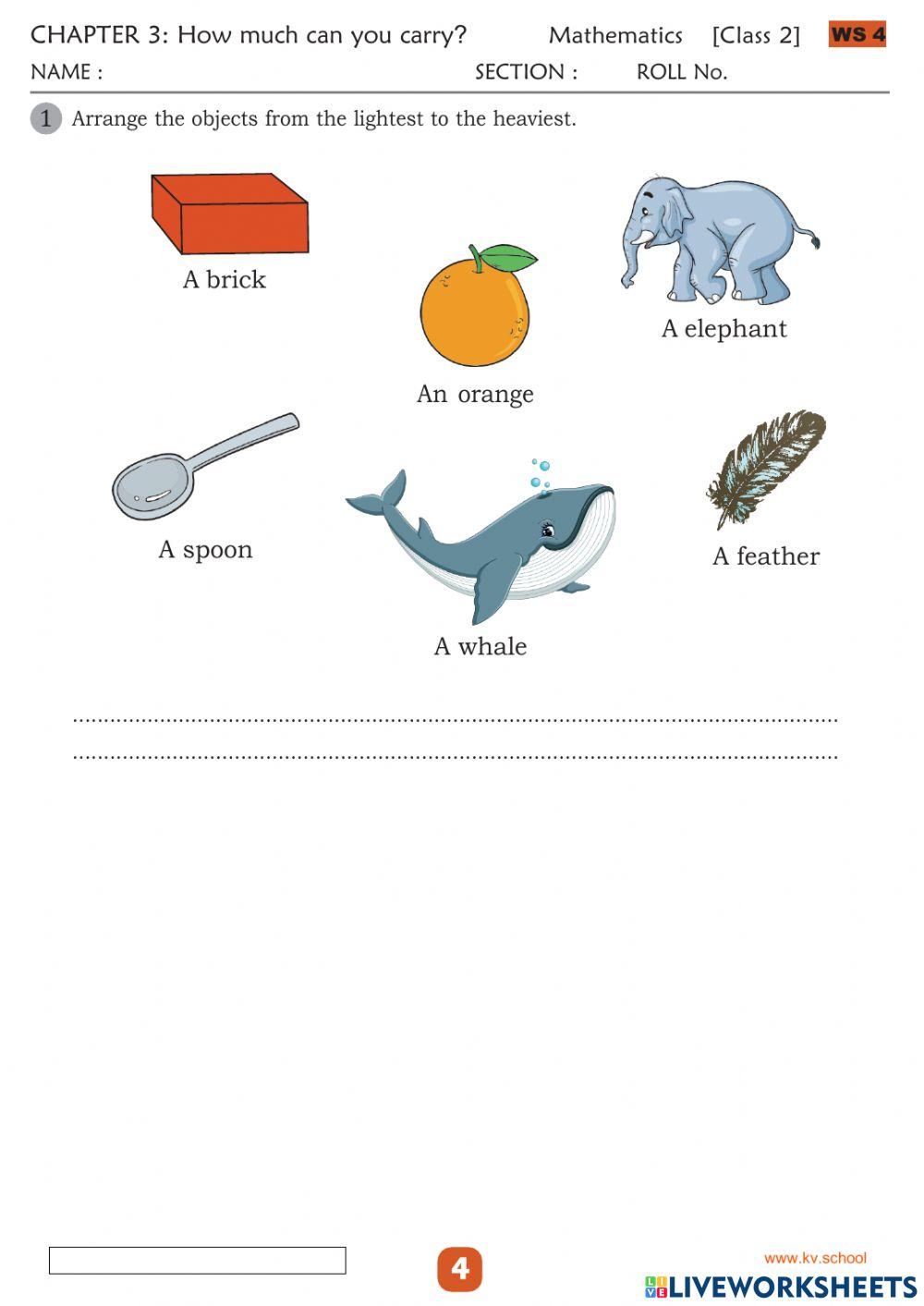 How much can you carry